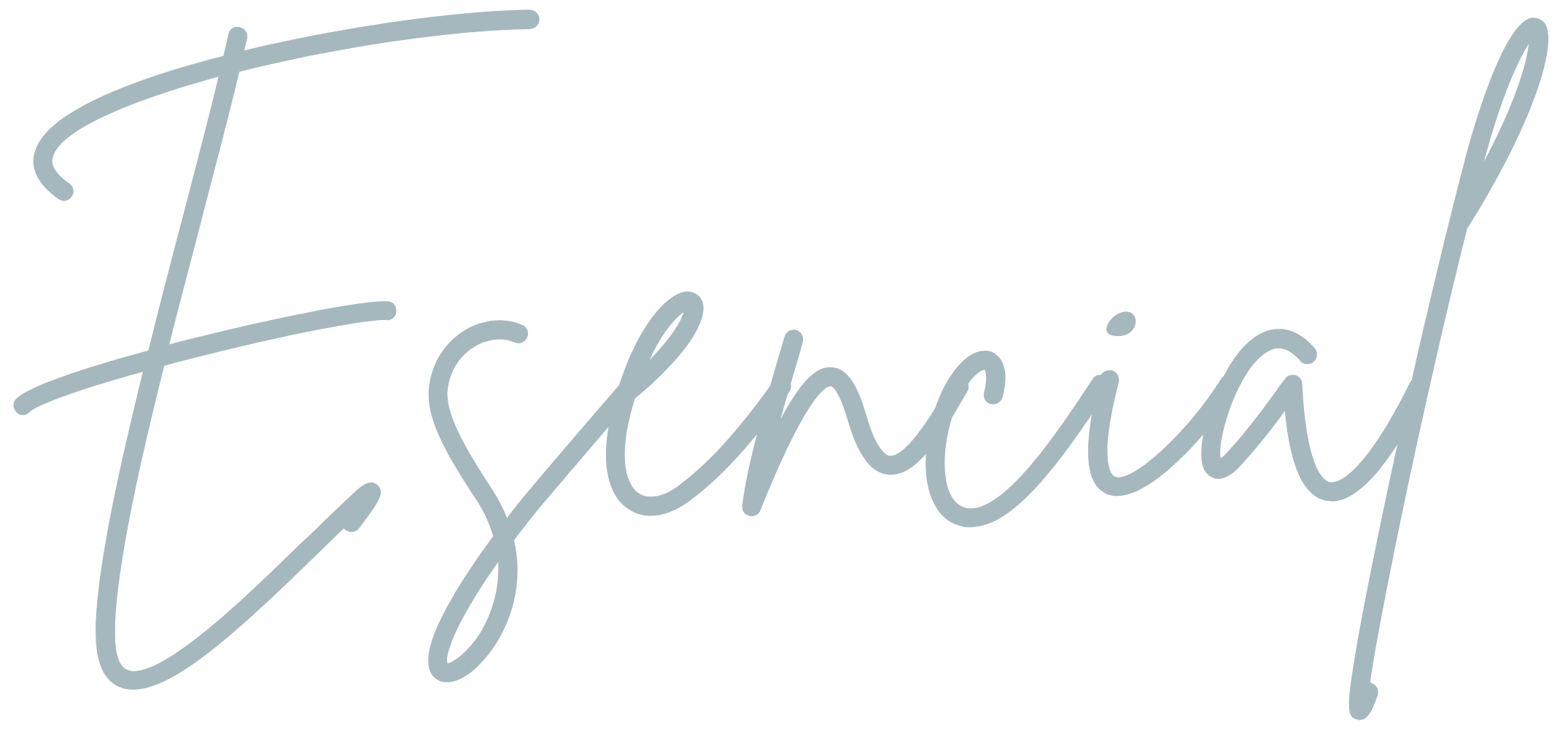 Esencial · María Bear Esencial · María Bear