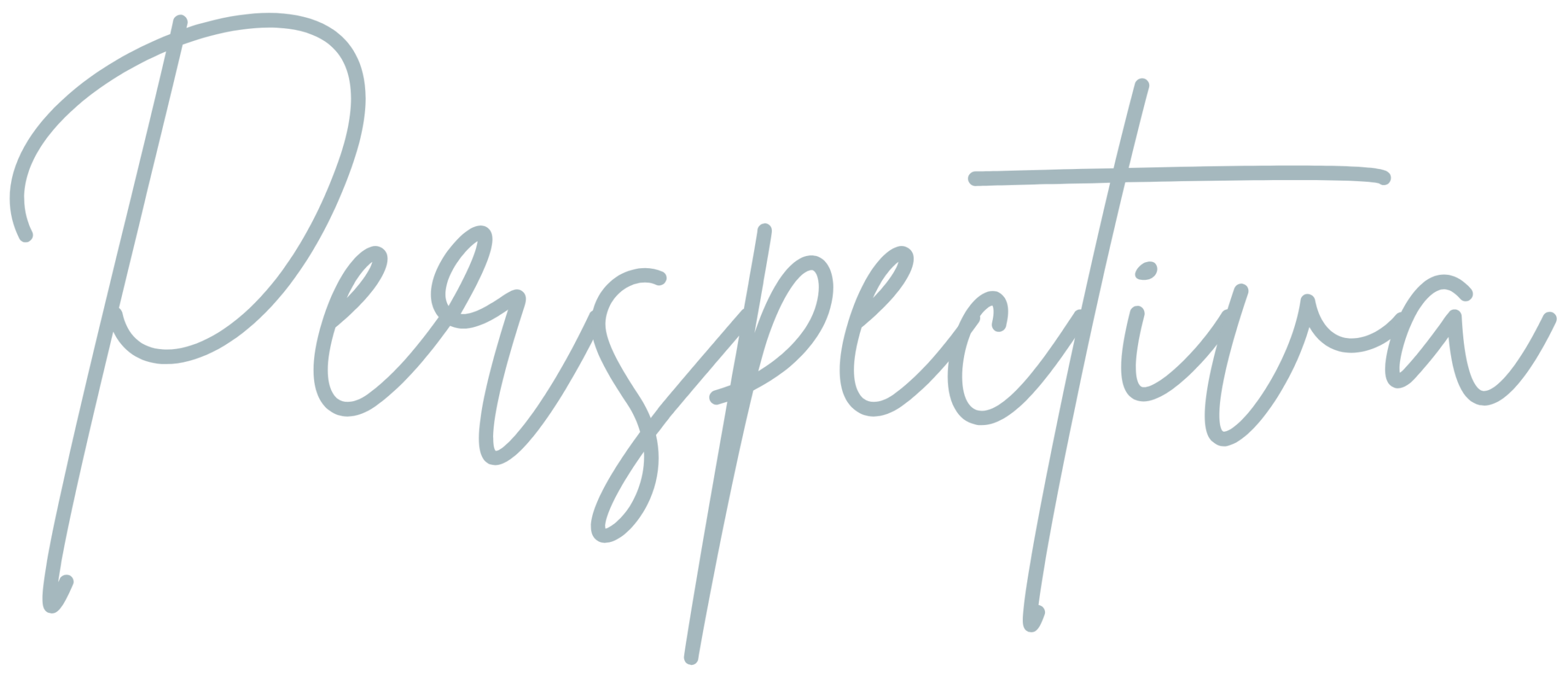 María Bear · Perspectiva María Bear · Perspectiva